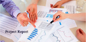 Project Report Services